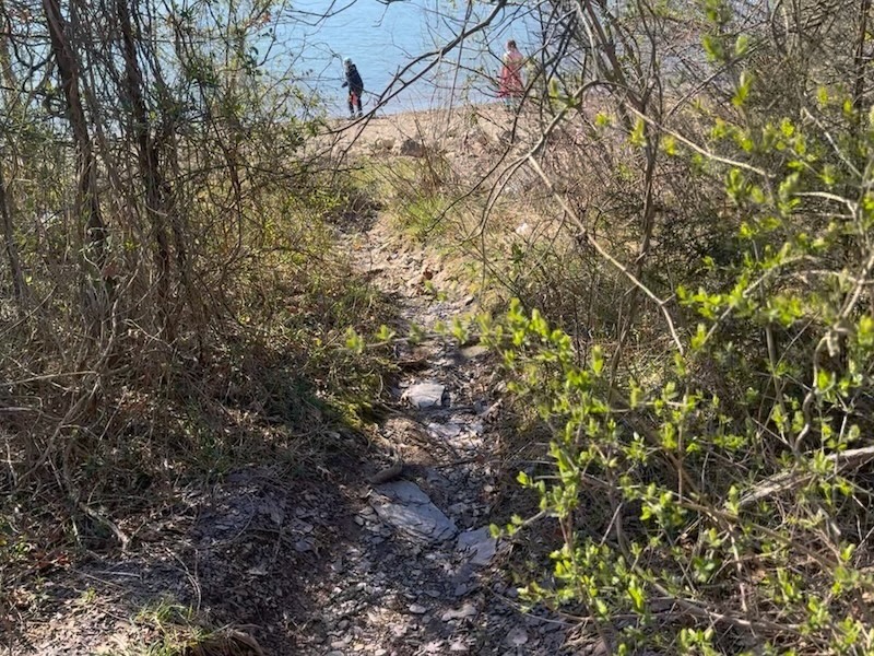 Hiking
