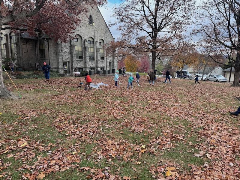 Leaf Raking